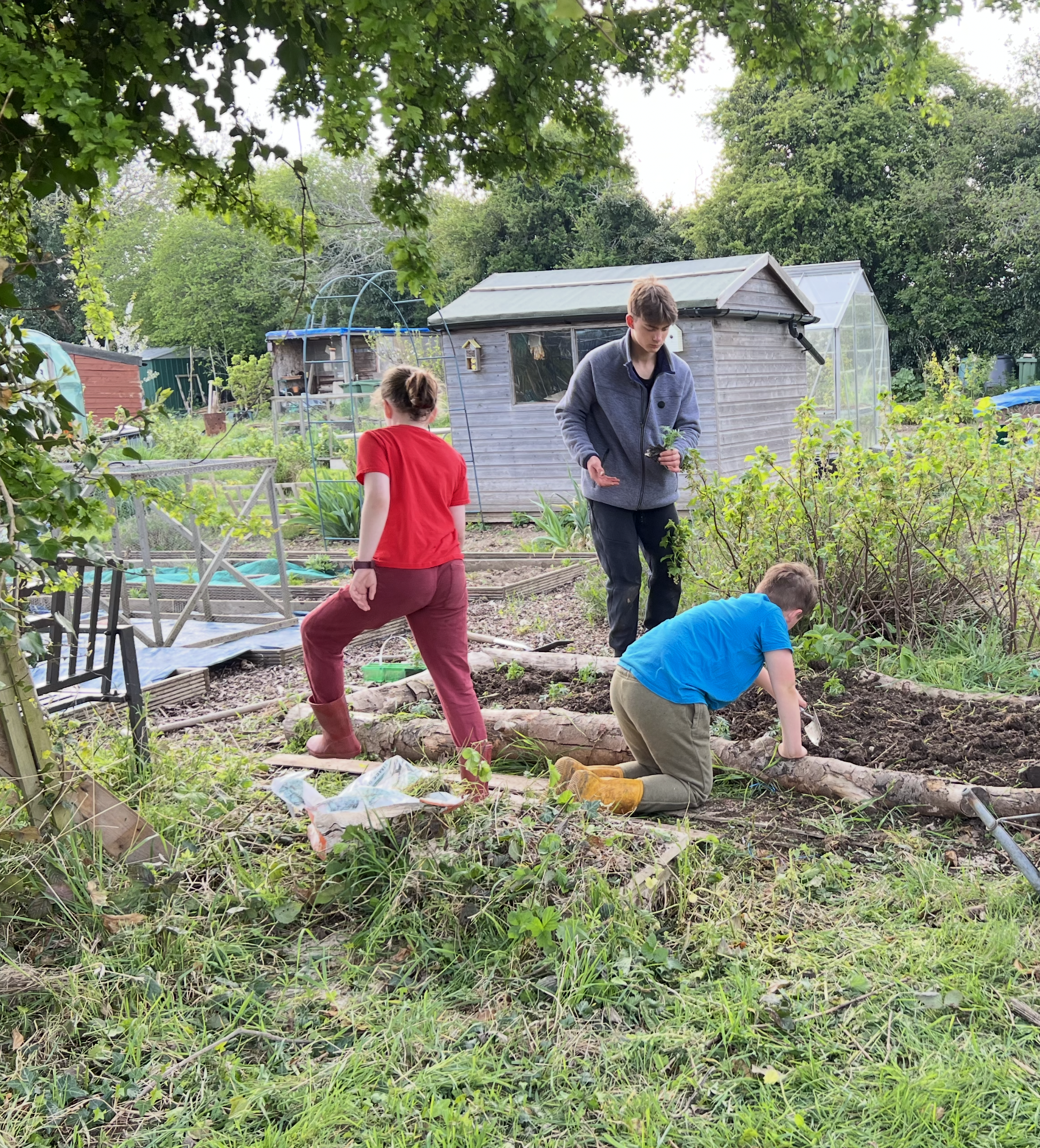 pool in green garden